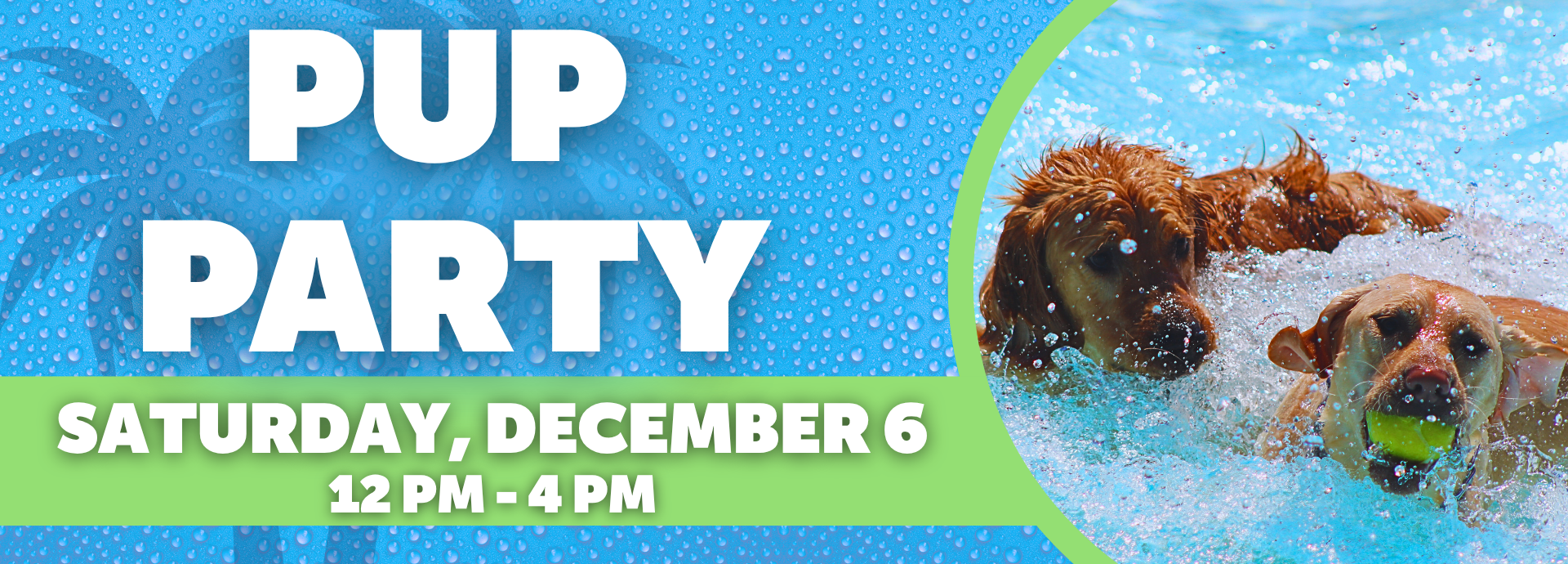 PUP PARTY (2)