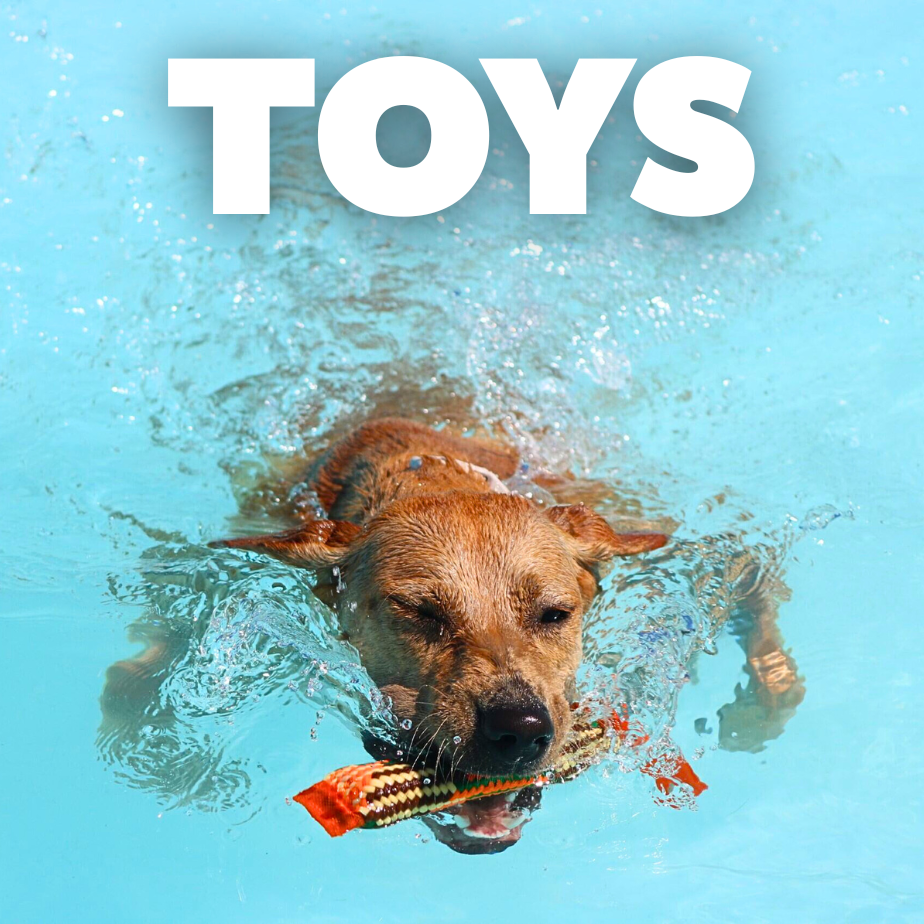 TOYS (1)